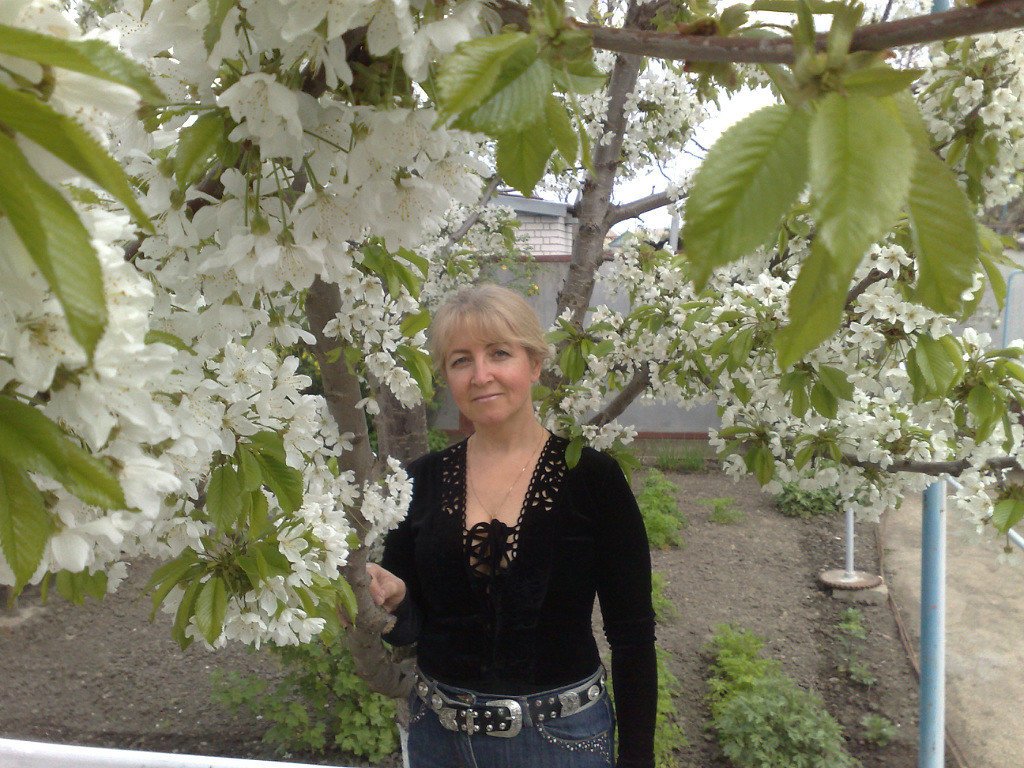 Елена Дмитриевна